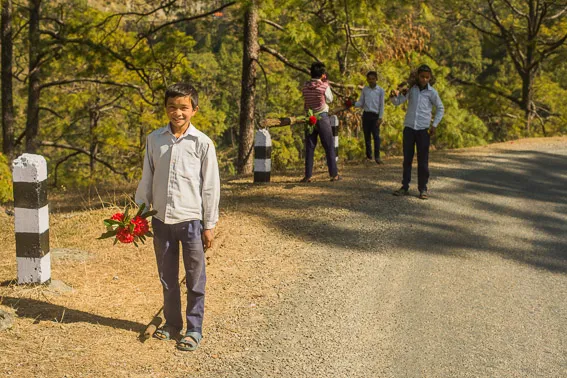 Koululainen ja Nepalin kansalliskukka alppiruusu.